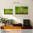 Finch-363523541
