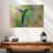 Green Fronted Hummingbird-107880625