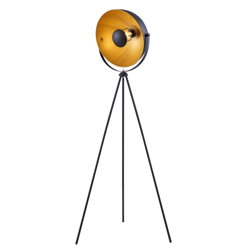 Brockington 63'' Matte Tripod Floor Lamp, Black/Gold