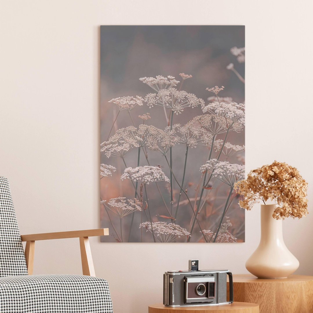 Leinwandbild Wild Umbels