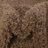 Rodolphe Performance Indoor Rug-292820892