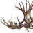 Rohrbach Candle Style Wagon Wheel Chandelier-238798685-184862633