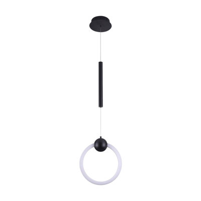 Luminaire suspendu simple à 1 lumière DEL