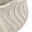Pot à fleurs conque 9 x 5,5 x 5,7 po au fini beige texturé-1144096344