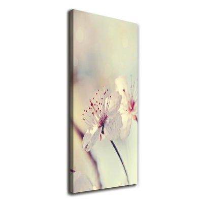 Cherry Blossoms - Wrapped Canvas Print