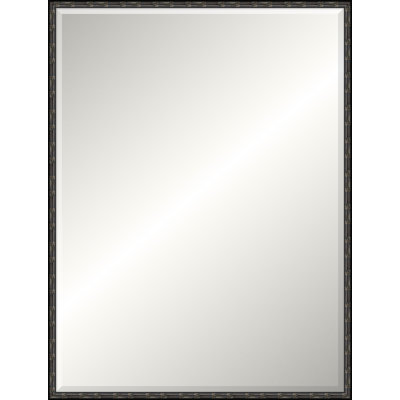 Adelaide Mirror