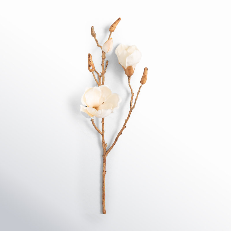 Magnolia Sprays, Crème