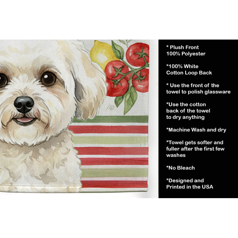 Torchon blanc et crème Bichon Frise, White/Cream Bichon Frise
