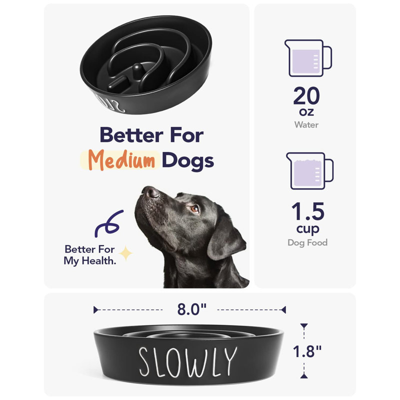 Black Ceramic 1.5 Cups Slow Feeder Dog Bowl