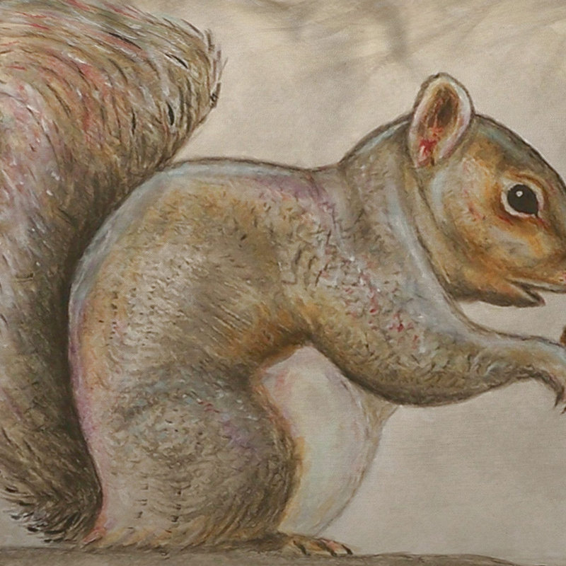Small Beige and Brown Squirrel Indoor/Outdoor Pillow Set
