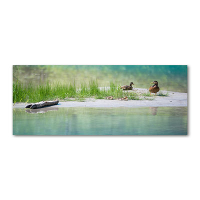 Ducks Above The Water - Print