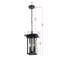 Luminaire suspendu d'extérieur noir 9 po Abby
