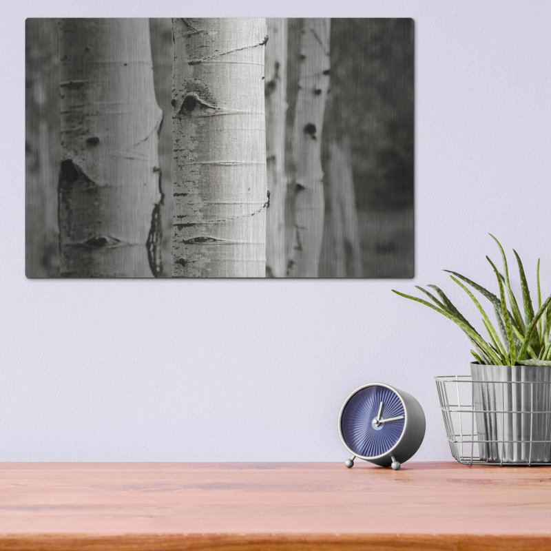"Aspens III" par Debra Van Swearingen, H 12 po x l 16 po