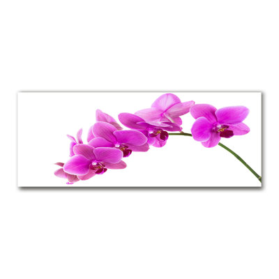 Pink Orchid - Wrapped Canvas Print