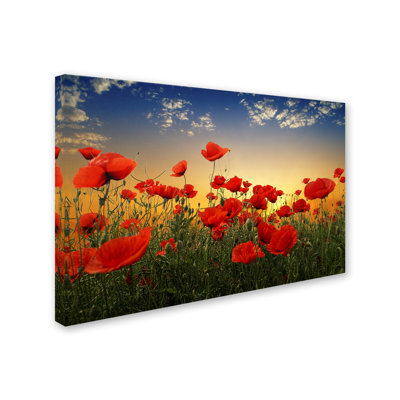 Wrapped Canvas Wall Art - Albena Markova 'Poppies' Wall Art for Living Room, Bedroom, or Office Décor - 22x32