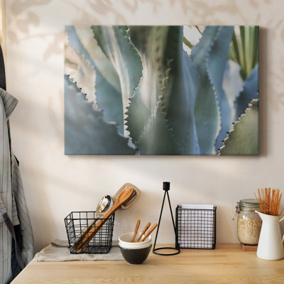 Blue Agave II-Gallery Wrapped Canvas