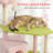 Large Cat Tower With Scratching Post & Board 74 Inch Flower Design For Multiple Cats, Soft Teddy Fleece, Stable Base