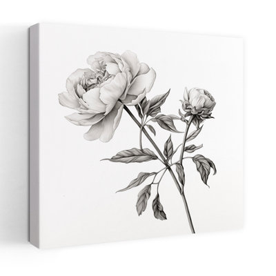 Esquisse de pivoine de campagne contemporaine contemporaine I avec illustration botanique de pivoine