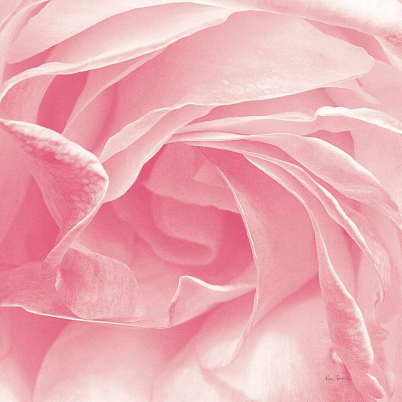 Géorgie - rose, H 20 po x l 20 po
