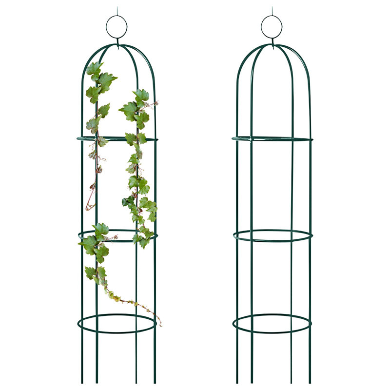55.1'' W x 15'' D Metal Arbor in Dark Green