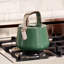 Caraway Stovetop Whistling Tea Kettle-1795050968