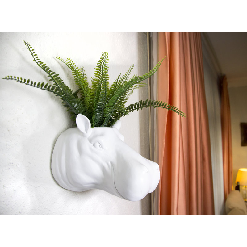 Wall Planter