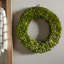 Alby Preserved Boxwood Real Greenery Wreath-227551723