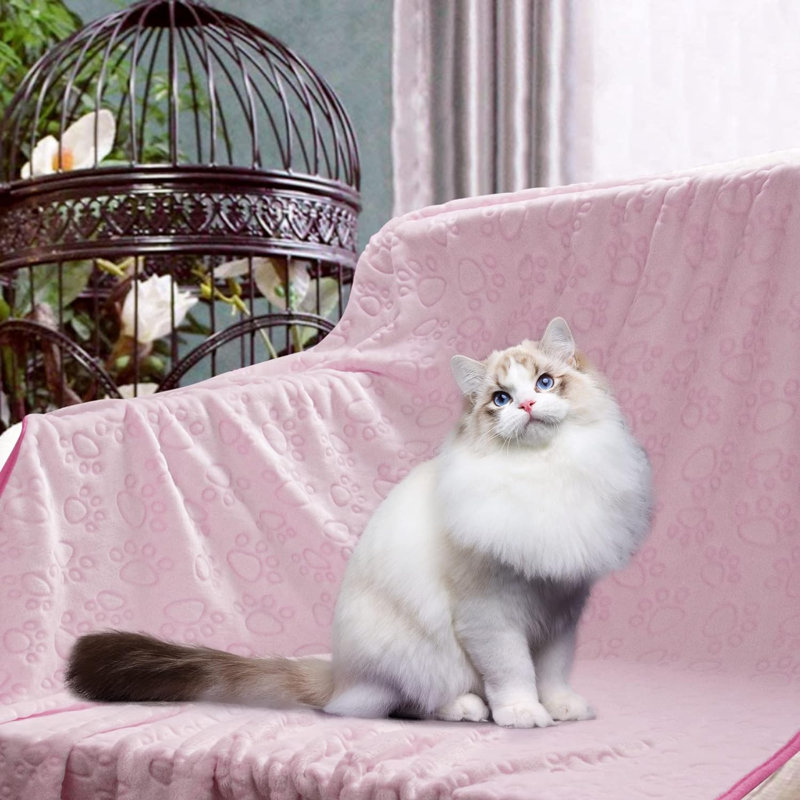 Couverture pour animaux en mélange de coton, L 42 po x L 66 po
