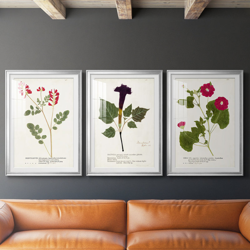 Nature Printed Botanicals III - reproduction sur mesure encadrée de qualité supérieure - 3 pièces, Argent argent