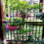 Ensemble de 4 treillis de jardin en métal 86,7 "x 19,7" antirouille pour plantes grimpantes-113175582