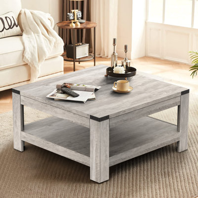 Zara Square Coffee Table With 2-tier Storage Shelves by Millwood Pines