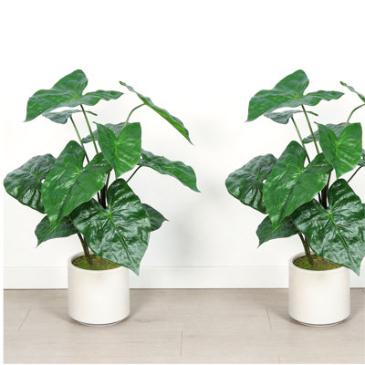 30 "plante tropicale artificielle feuille d'alocasia avec pot blanc 2pc / ensemble