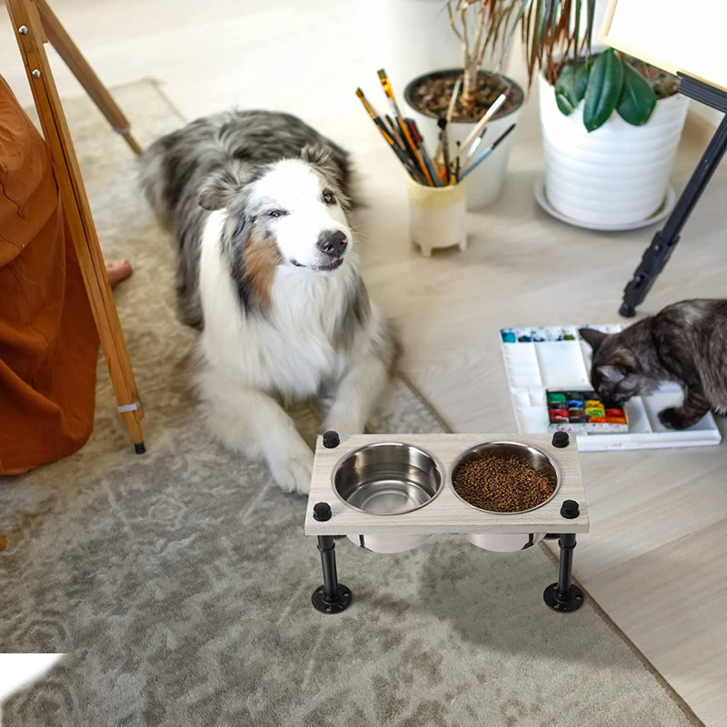 Console de repas surélevée pour animal 2 bols, Blanc, Grand (7,8 po)