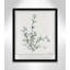 «Jeanette Thymus Vulgaris», reproduction d'art encadrée sur papier par Albert Koetsier-88318152-88318157