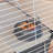 Rabbit Cage