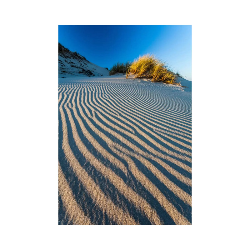 Poland, Slowinski National Park, Dune by Mikolaj Gospodarek - Wrapped Canvas Painting, 66.04 cm H x 45.72 cm W x 3.175 cm D