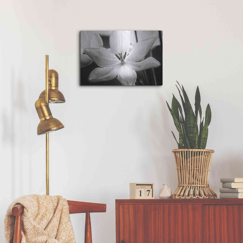 "Tulipes translucides IV" par Debra Van Swearingen, H 16 po x l 24 po