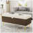 Beige est en rupture de stock