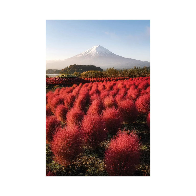 Mount Fuji XVII by Daisuke Uematsu - Print on Canvas, 45.72cm H x 30.48cm W x 1.91cm D, Wrapped Canvas