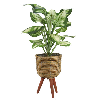 28'' Faux Hosta Plant in Basket