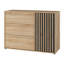 Zaria 118 cm W Plastic Credenza