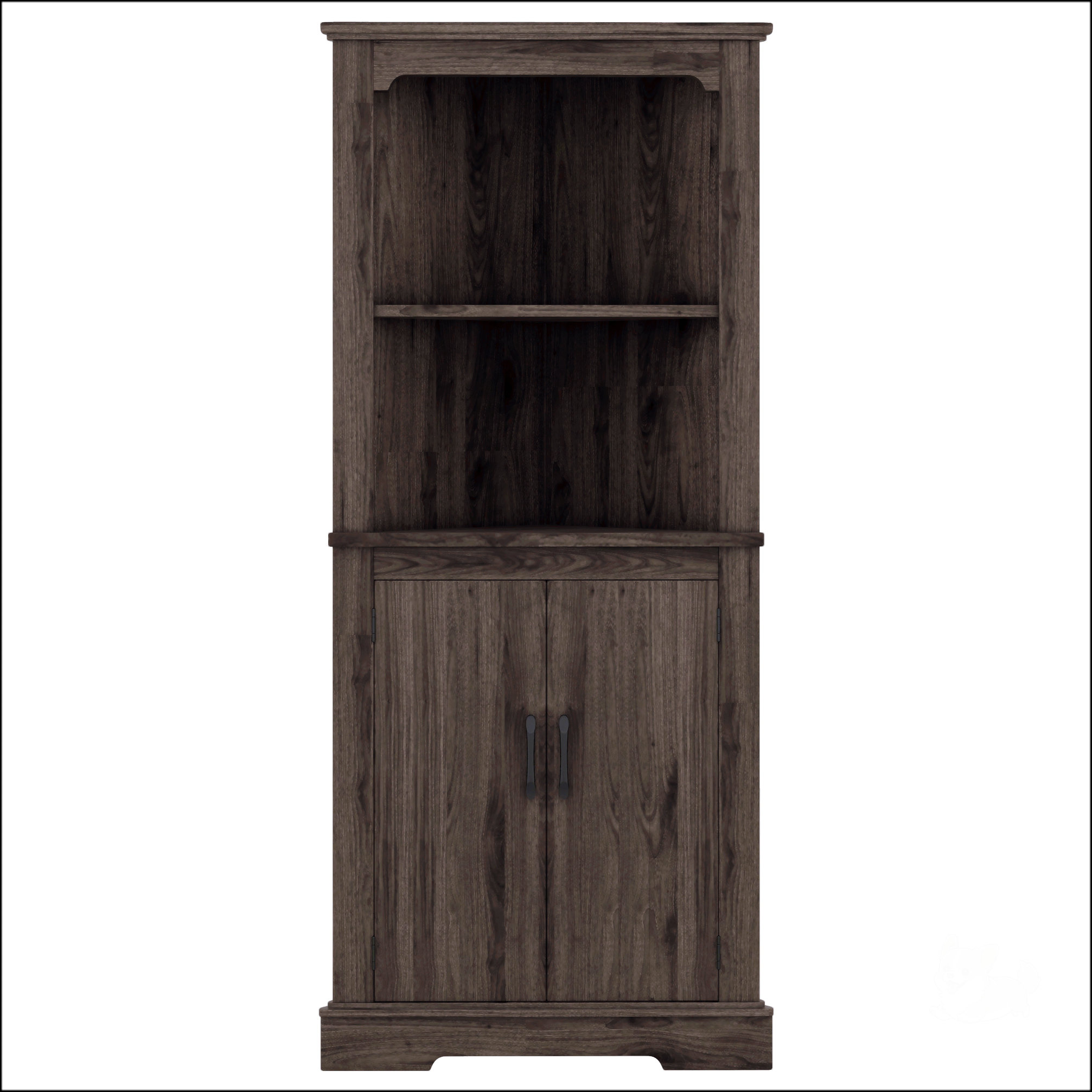 Oliver Tall Corner With Doors For Living Room Wayfair
