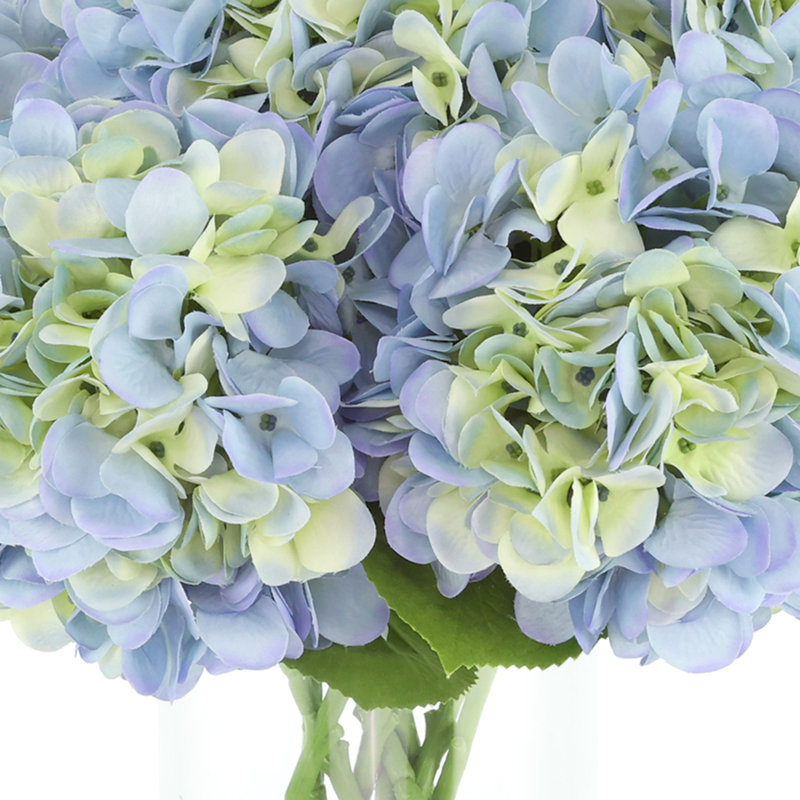 Hortensias disposés dans un vase en verre, Bleu / Vert