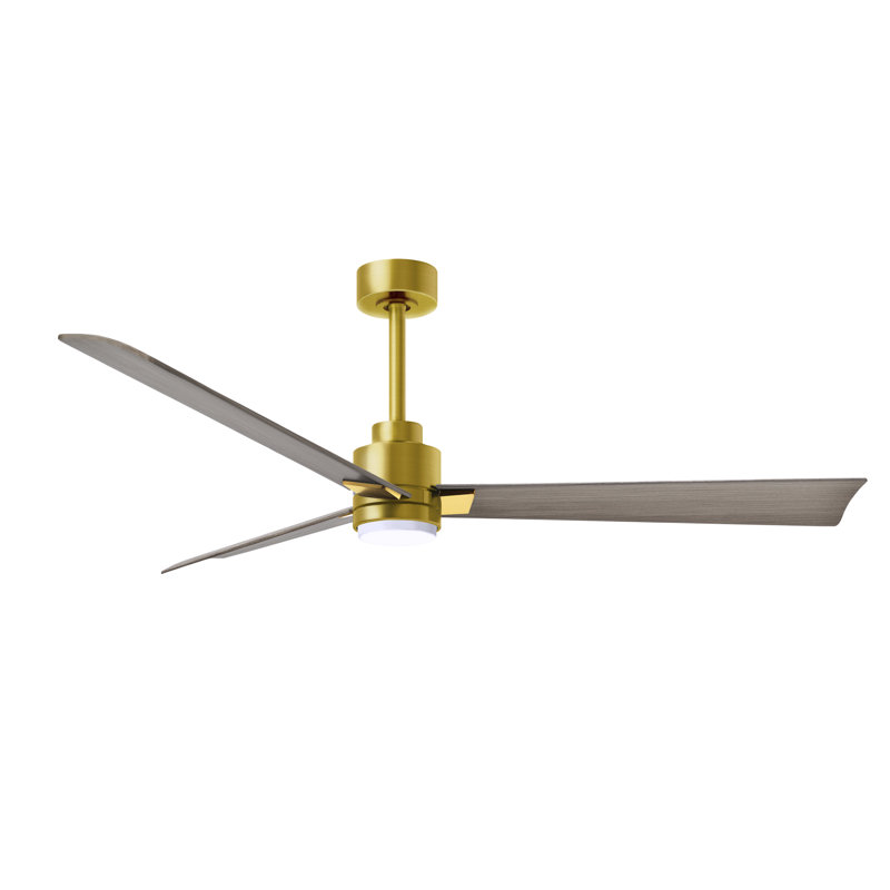 Alessandra - Three Blade Transitional Ceiling Fan -LED, Gray Ash Tone, Brushed Brass, 56"
