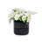3 Pieces Heat - Glossy Black Ceramic Flowerpot For Patio, Windowsills And Living Areas, 9.46" L X W 9.41" H, Promotes Root Growth Frost Weather All Decor, Stylish Finish-1849438943