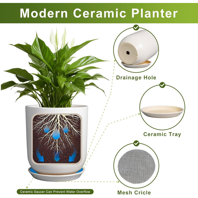Pot à fleurs 8 "en céramique blanche avec drain et soucoupe