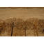 Tapis taupe Sayre-23261255
