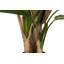 250cm Faux Banana Leaf Plant in Pot