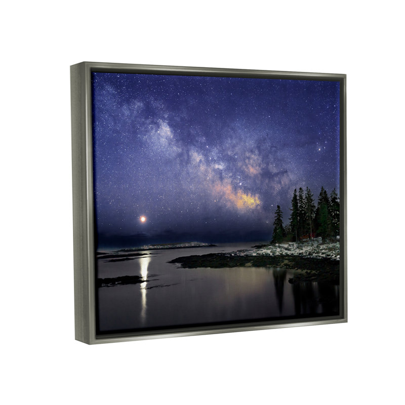 «Galaxy Galaxy Over Coastal Winter Night Floater» par Rick Berk, H 17 po x l 21 po x P 1,7 po, Cadre flottant gris lustré