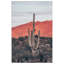 Sunsets And Saguaros by Nathan Larson-79406565-79406483
